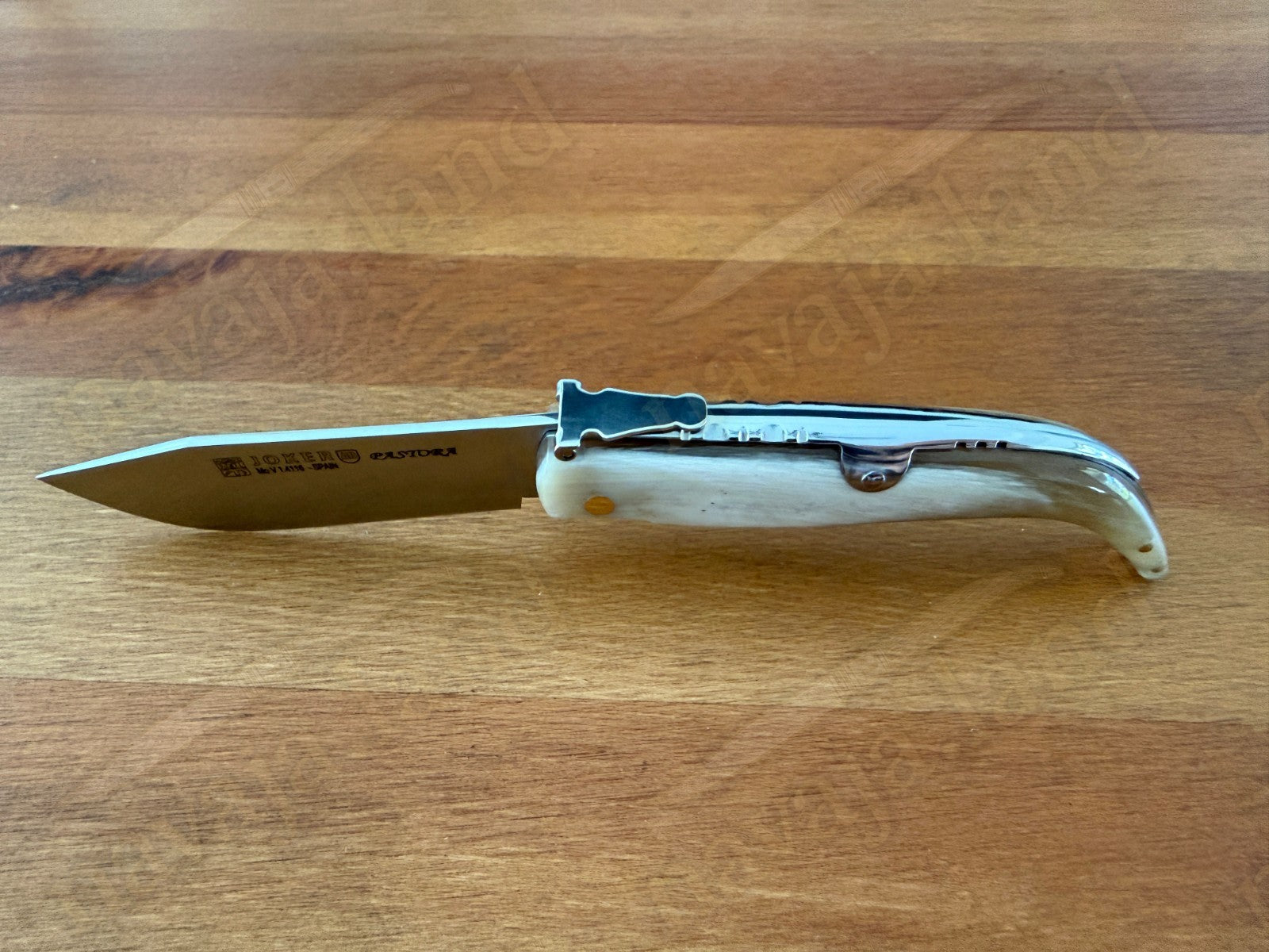 3.15” Joker Pastora Folding Knife Bull Horn Handle MOVA 1.4116 Stainless Steel