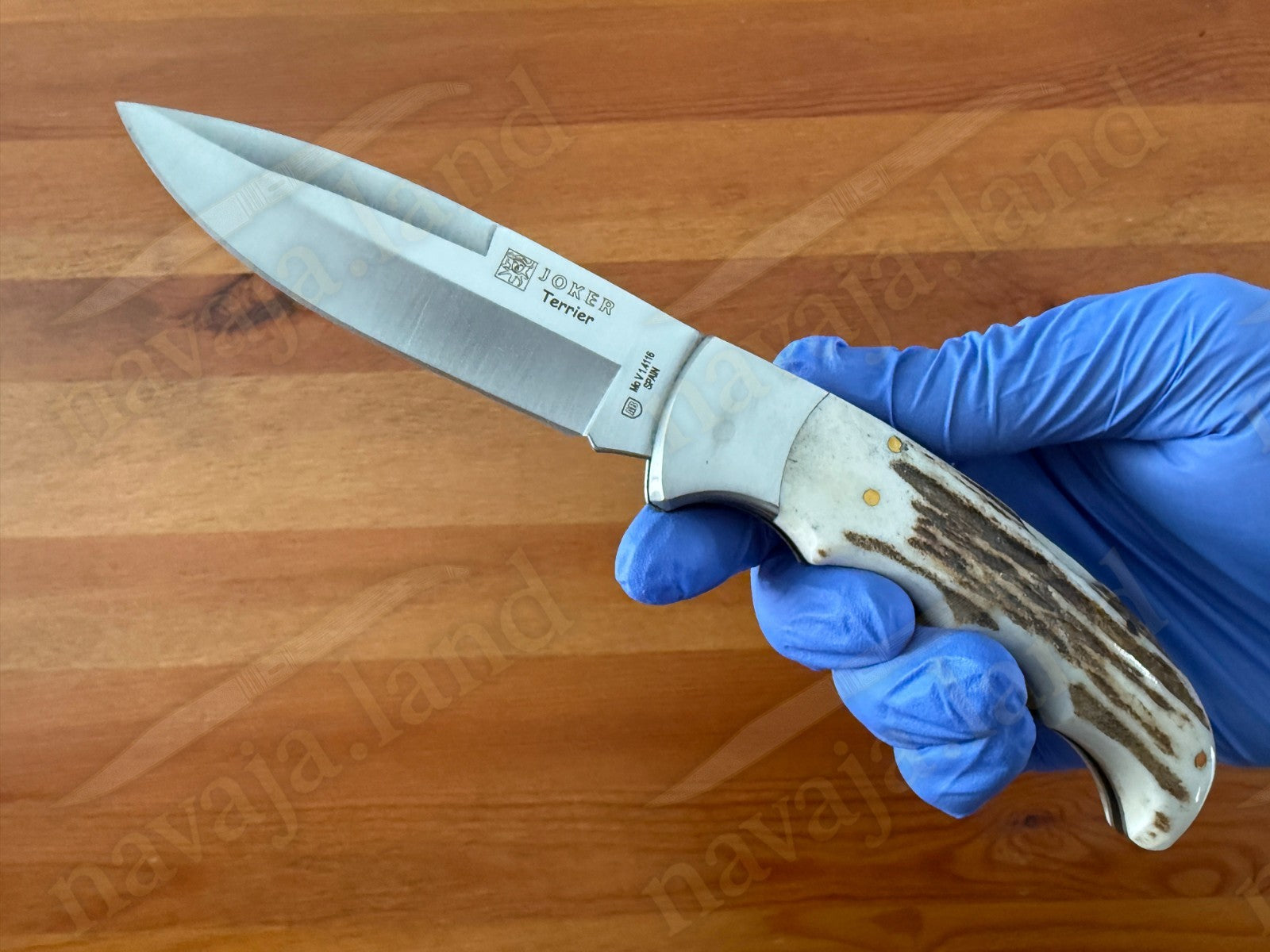 Joker Terrier Hunting Folding Knife 3.5” MOVA Blade Deer Horn Handle From Spain
