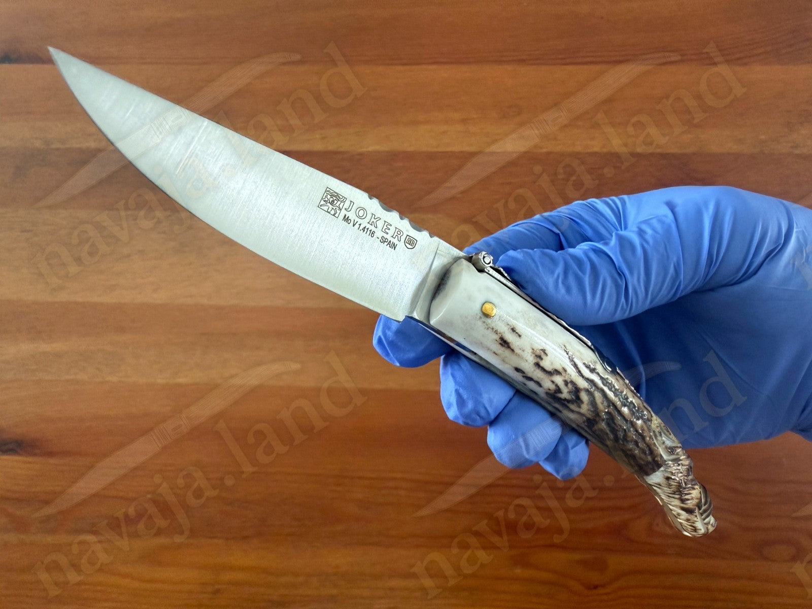 Joker Folding Knife w/ Hand Carved Wild Boar Motif Deer Antler 3.1" MOVA Steel