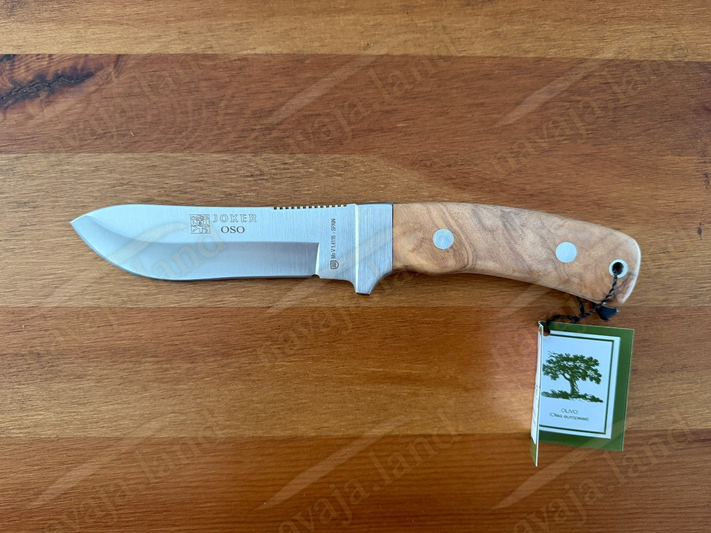 Joker Oso Outdoor Knife – 4.72" MOVA Blade | Olive Wood Handle | Leather Sheath
