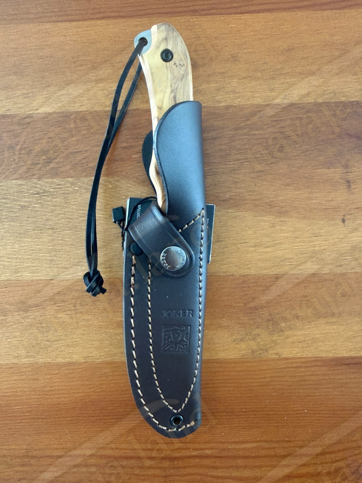 Joker Aguila Bushcraft Knife 4.13” MOVA Blade Olive Wood Handle | Leather Sheath