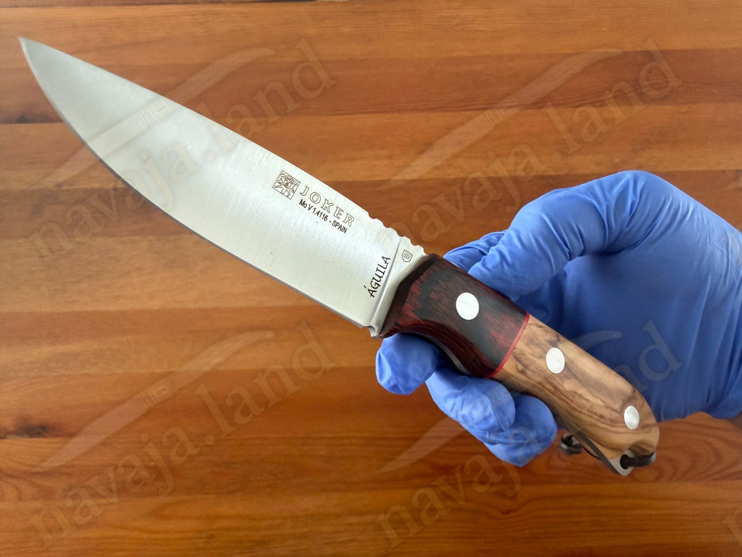 Joker Aguila Bushcraft Knife 4.13” MOVA Blade Olive Wood & Rosewood Handle