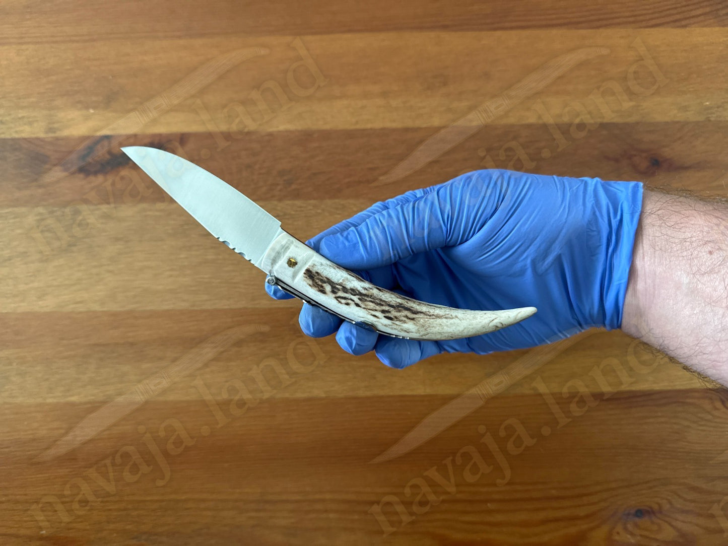 Joker Punta Ciervo Folding Knife Deer Antler Handle 3.3" MOVA Steel From Spain