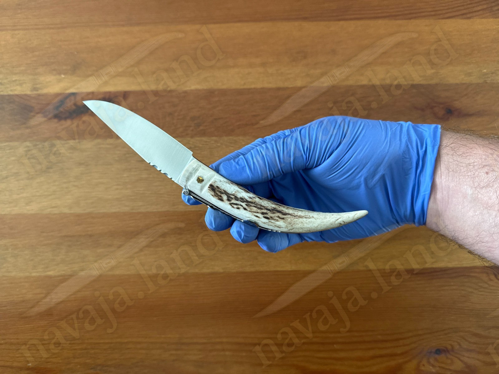 Joker Punta Ciervo Folding Knife Deer Antler Handle 3.3" MOVA Steel From Spain