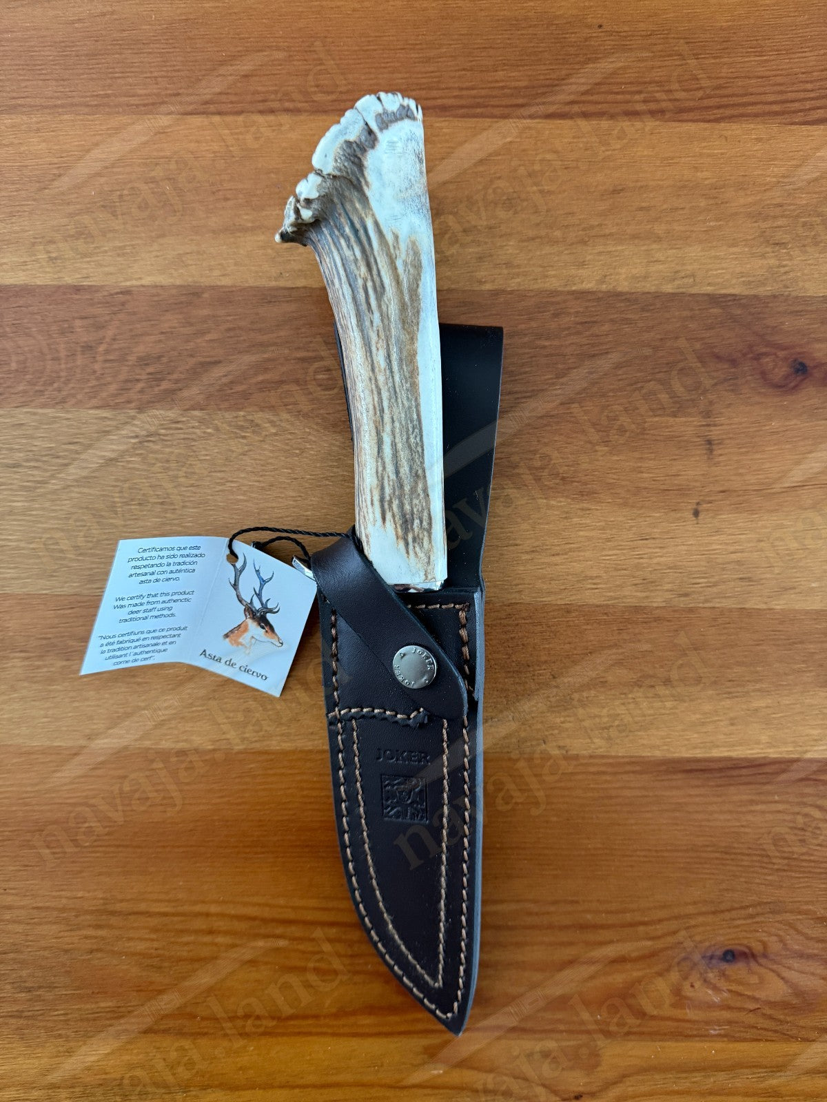 Joker Tigre Mountain Knife 5.51” MOVA Blade Stag Crown Handle Leather Sheath