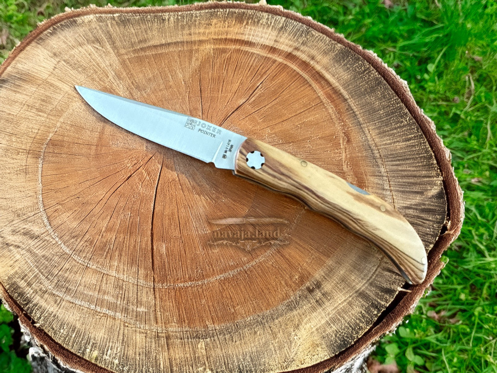 3.15” Joker Pointer Camping Folding Knife (Olive Wood Handle) Handmade in Spain
