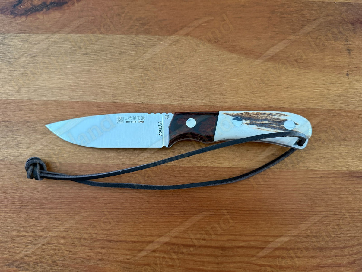 Joker Aguila Bushcraft Knife 3.34” MOVA Blade Deer Horn & Rosewood Handle