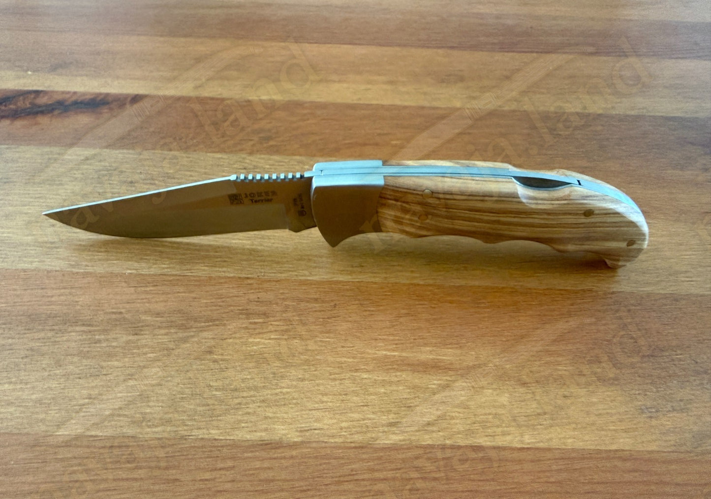 Joker Terrier Hunting Folding Knife 3.5” MOVA Blade Olive Wood Handle From Spain