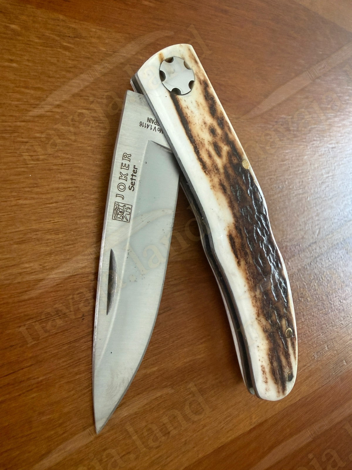 3.15” Joker Setter Bushcraft Folding Knife (Stag Horn Handle) Handmade Spain