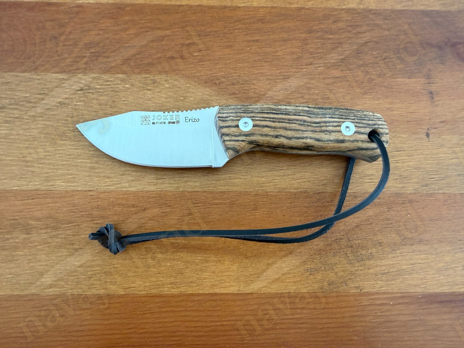 Joker Erizo 3" Stainless Steel MOVA 1.4116 Fixed Knife Bocote Wood Handle Spain