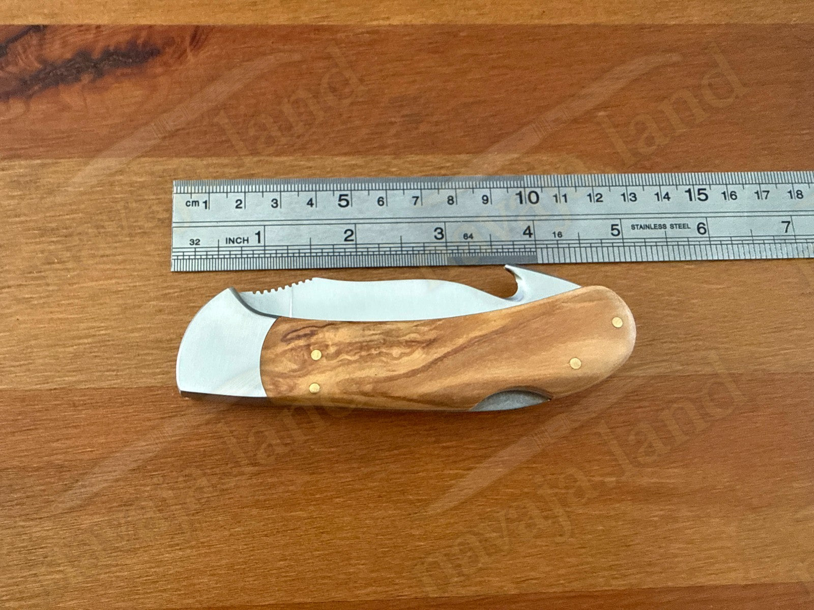 Joker Cocker Hunting Skinning Folding Knife 3.54” MOVA Blade Olive Wood Handle