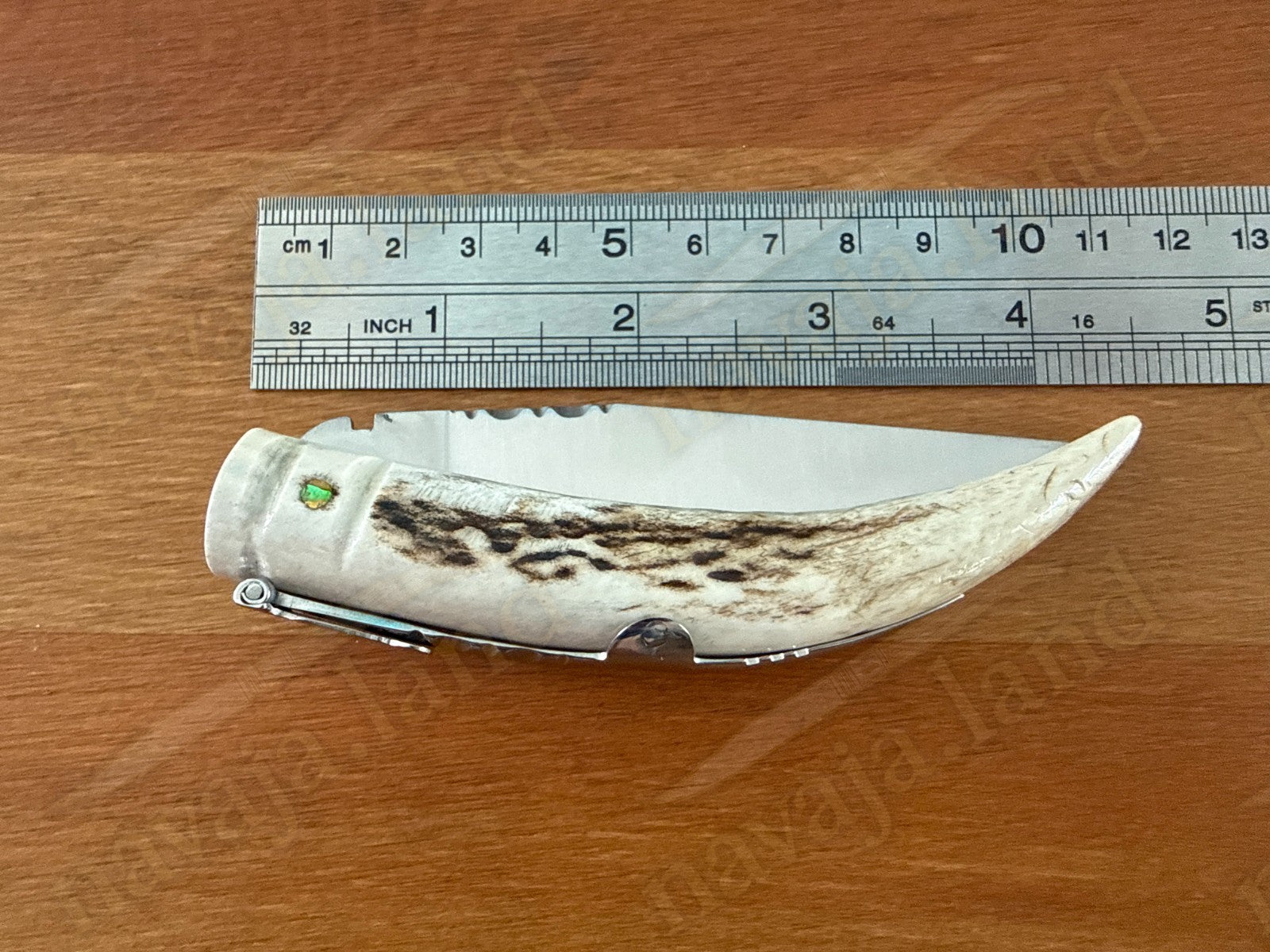 Joker Punta Ciervo Folding Knife Deer Antler Handle 3.3" MOVA Steel From Spain