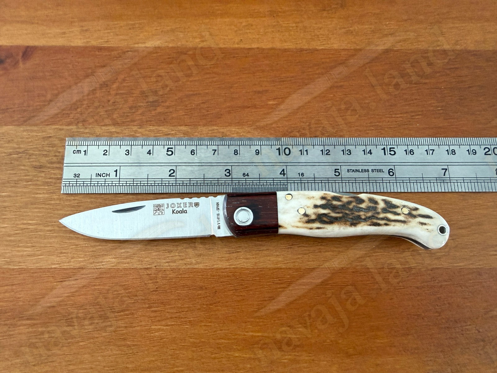 Joker Koala Pocket Knife 2.75” MOVA Blade Deer Horn Handle Grenadillo Ferrule