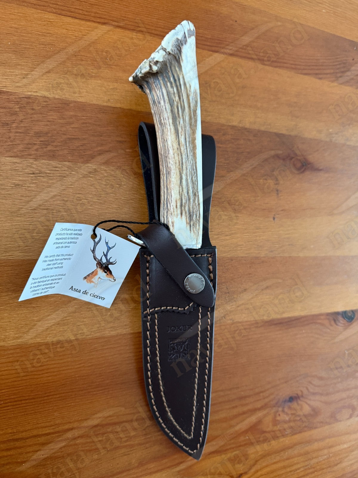 Joker Tigre Mountain Knife 5.51” MOVA Blade Stag Crown Handle Leather Sheath