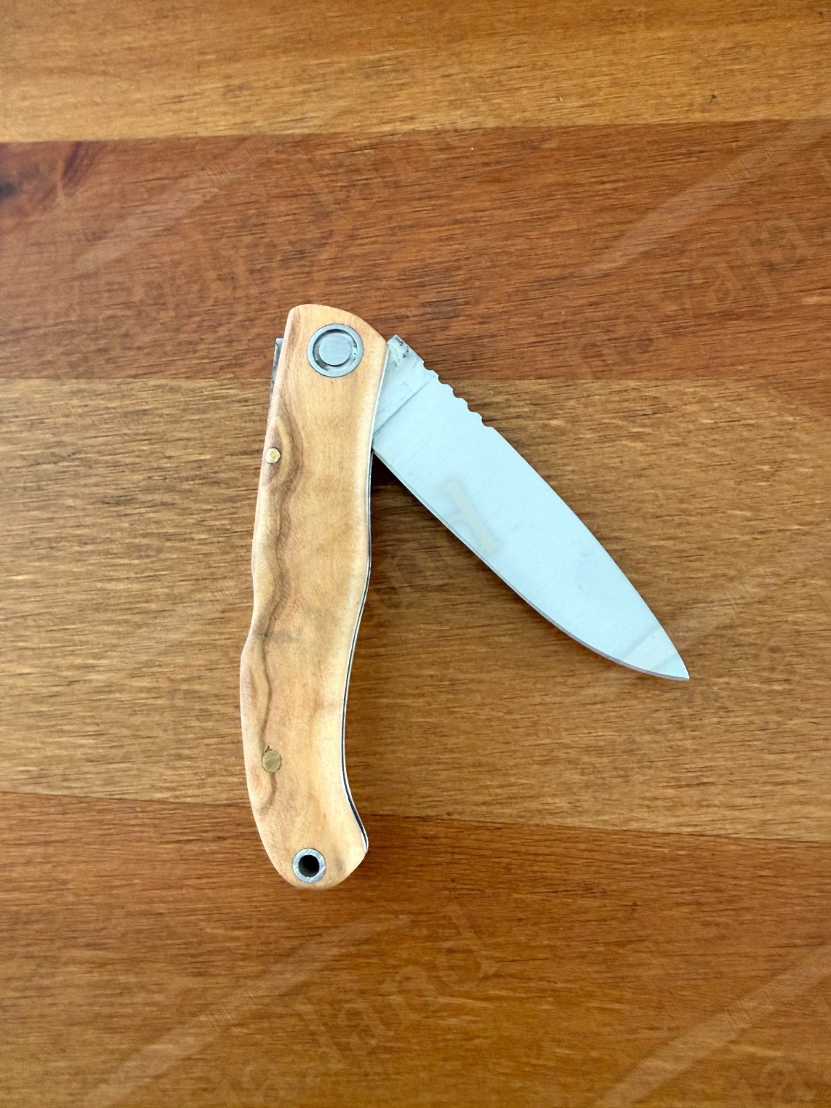 Joker Koala Pocket Knife 2.36” MOVA Blade Olive Wood Handle Handmade in Spain