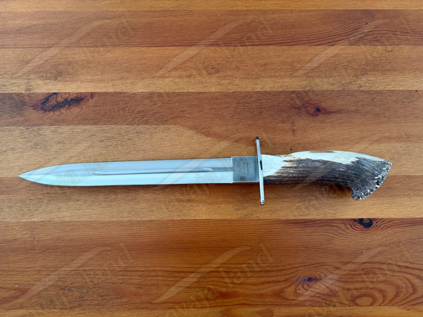 Joker Guepardo Hunting Knife – 11.81” Blade MOVA 1.4116 | Deer Antler Handle