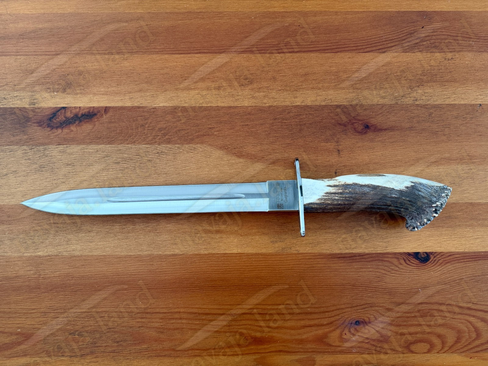 Joker Guepardo Hunting Knife – 11.81” Blade MOVA 1.4116 | Deer Antler Handle