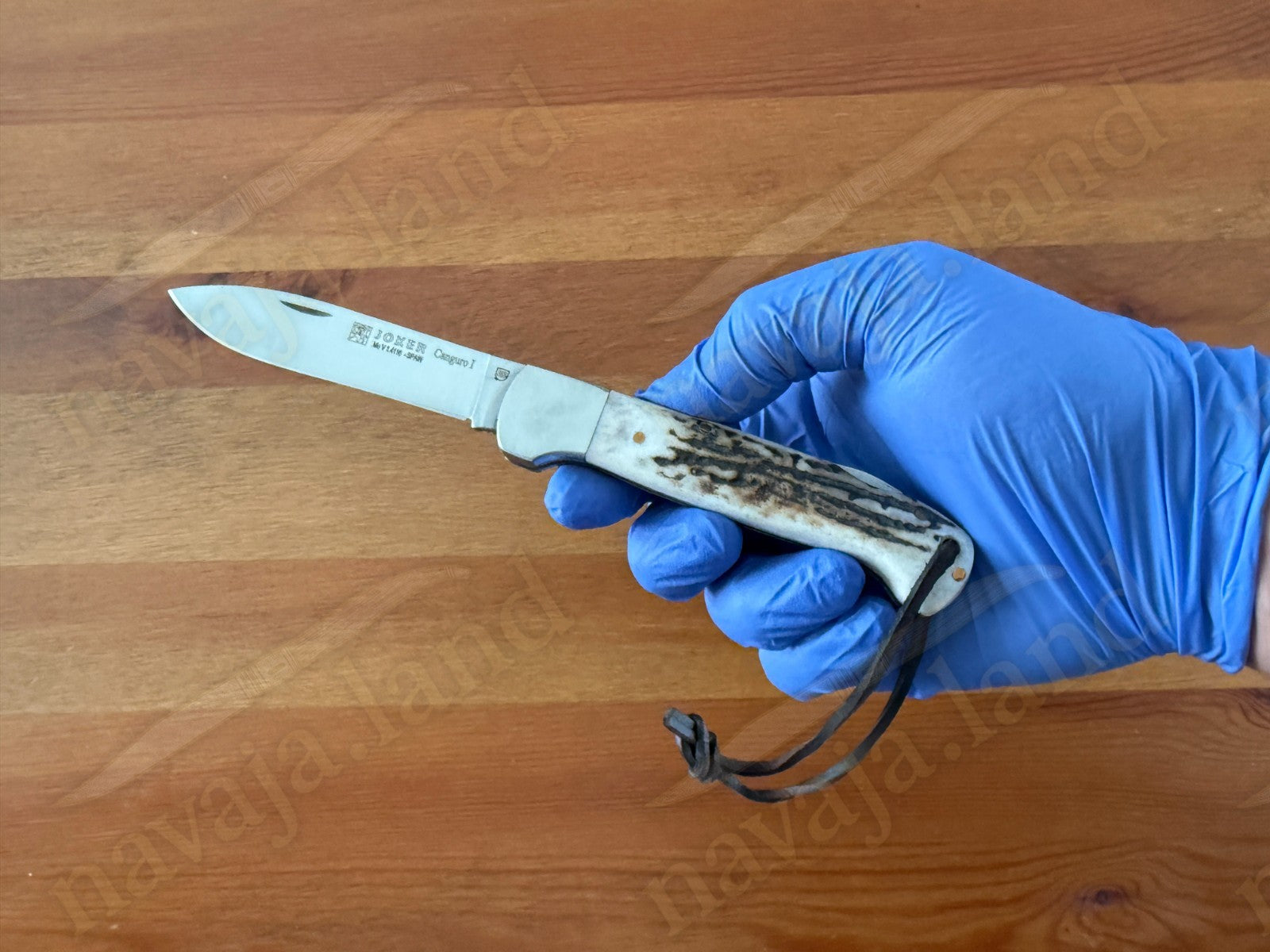 Joker Canguro Folding Knife 🦌 Deer Horn Handle 3.3” MOVA 1.4116 Stainless Steel