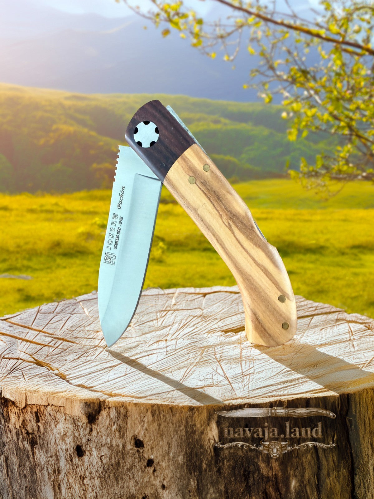 Joker Pachón Pocket Knife Olive Wood & Rosewood Handle Sandvik 12C27 3.14” Blade