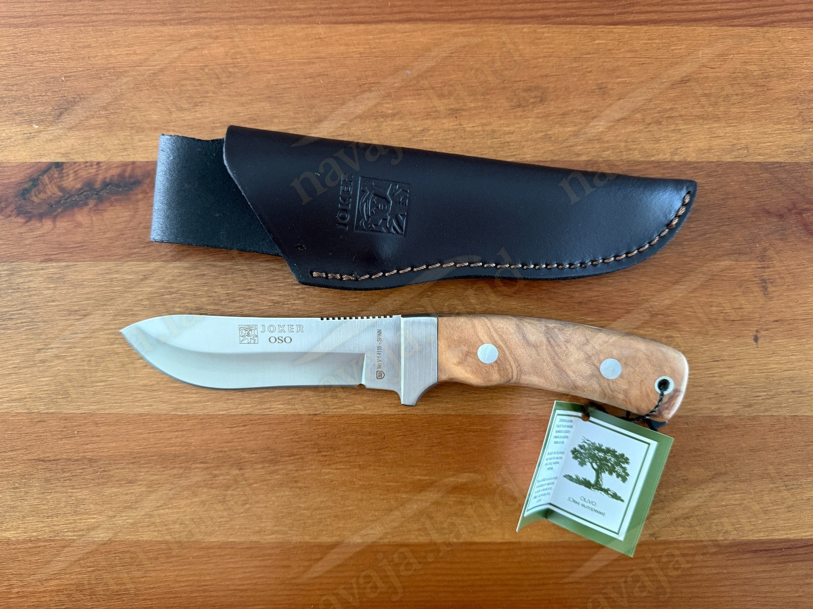 Joker Oso Outdoor Knife – 4.72" MOVA Blade | Olive Wood Handle | Leather Sheath
