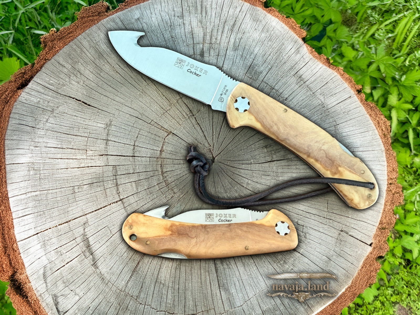 Joker Cocker Hunting Skinning Folding Knife 3.54” MOVA Blade Olive Wood Handle