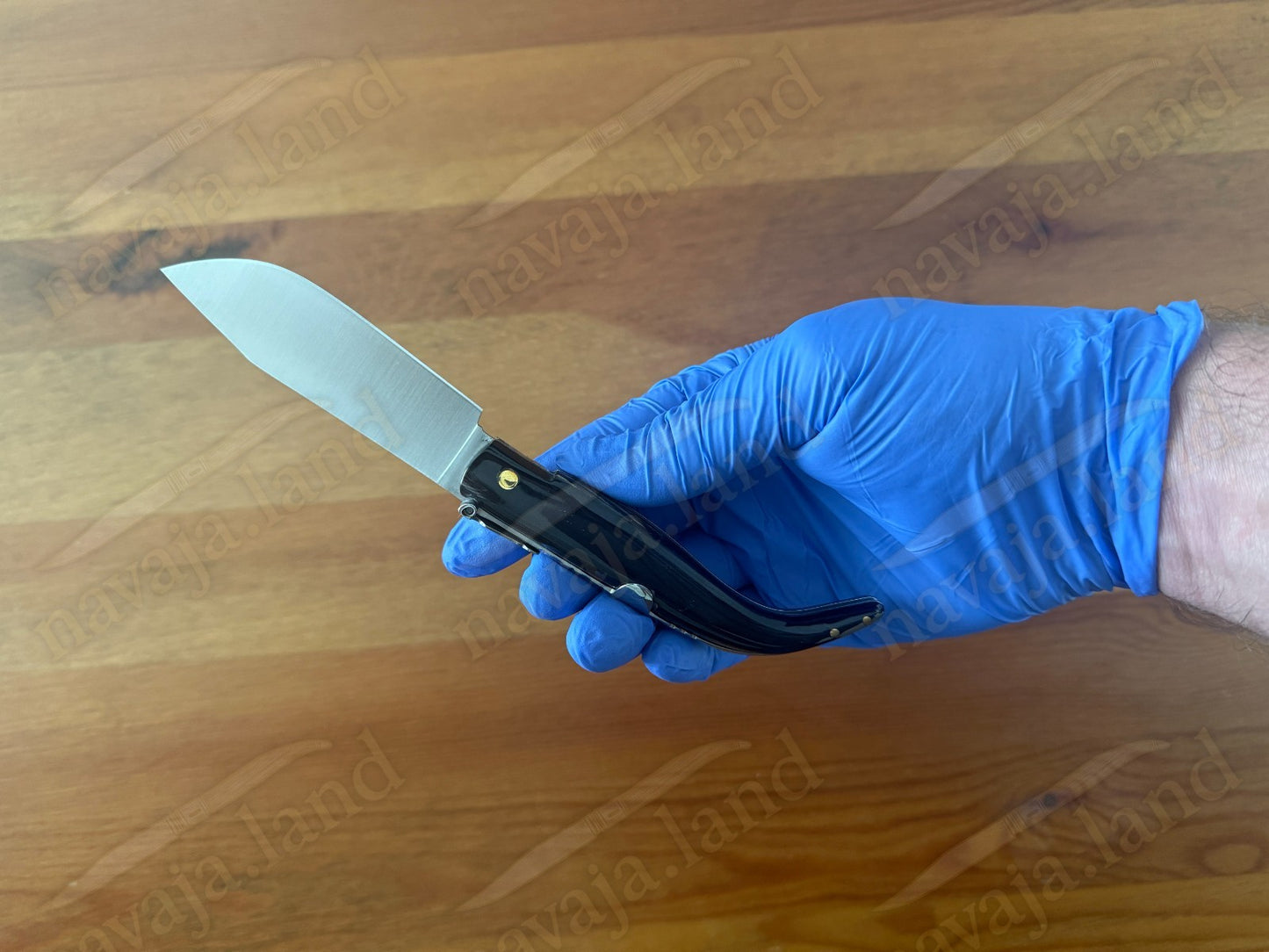 3.2” Joker Pastora Folding Knife Buffalo Horn Handle MOVA 1.4116 Stainless Steel