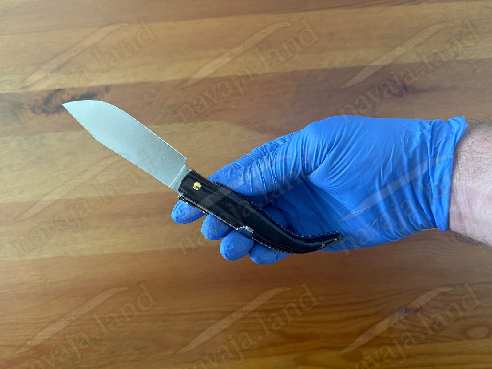 3.2” Joker Pastora Folding Knife Buffalo Horn Handle MOVA 1.4116 Stainless Steel