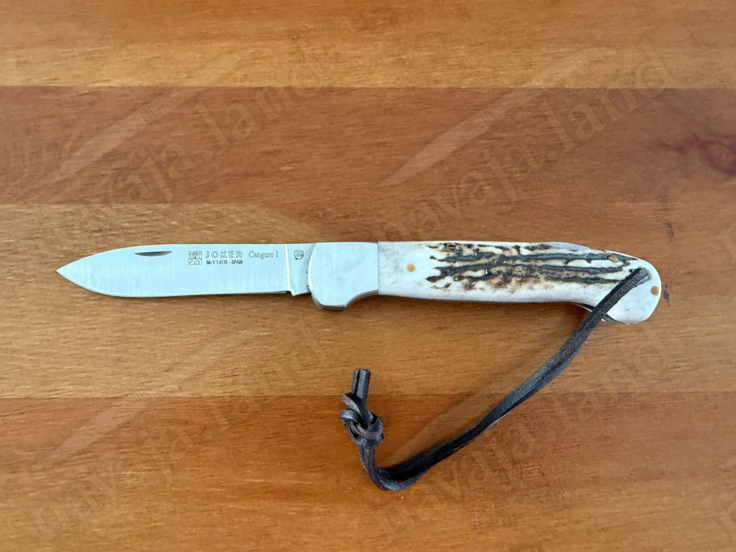 Joker Canguro Folding Knife 🦌 Deer Horn Handle 3.3” MOVA 1.4116 Stainless Steel