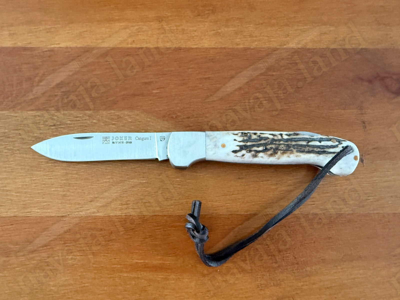 Joker Canguro Folding Knife 🦌 Deer Horn Handle 3.3” MOVA 1.4116 Stainless Steel