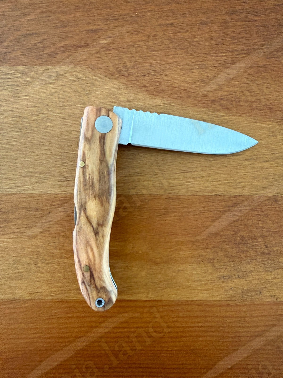 Joker Koala Pocket Knife 2.75” MOVA Blade Olive Wood Handle Handmade in Spain
