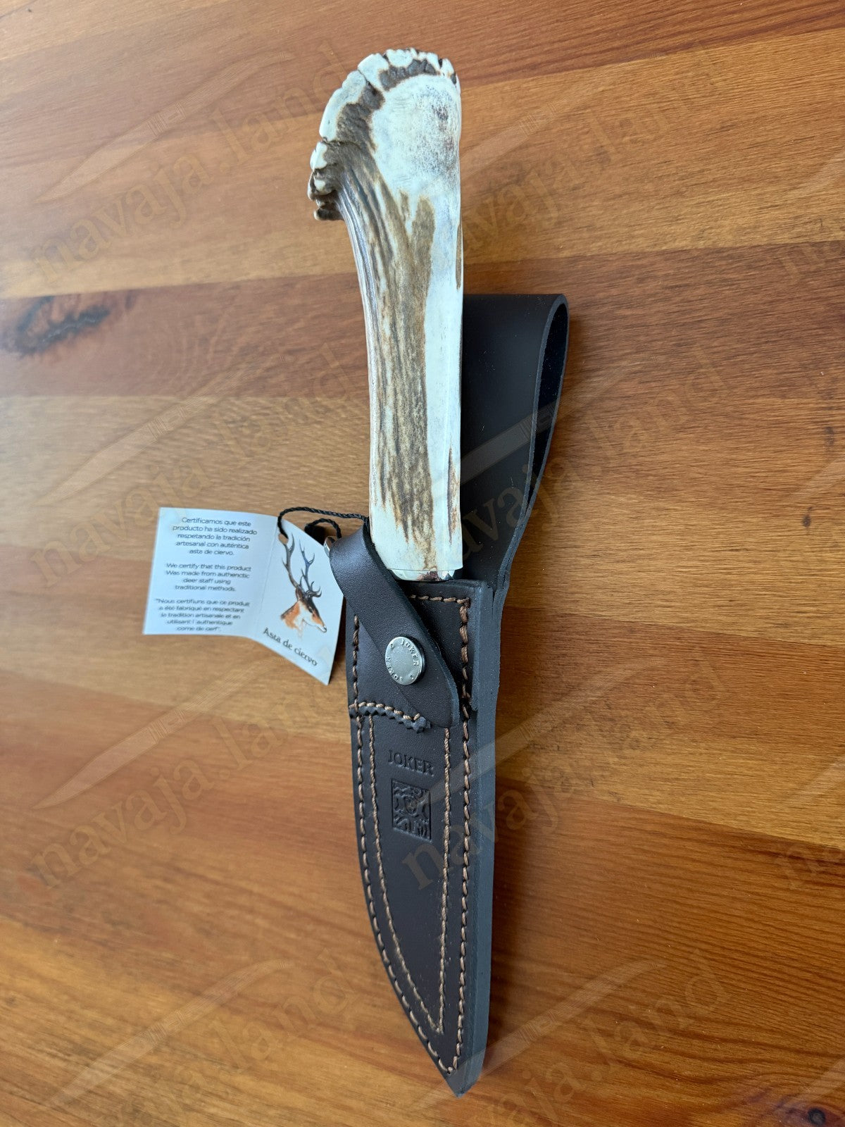 Joker Tigre Mountain Knife 5.51” MOVA Blade Stag Crown Handle Leather Sheath