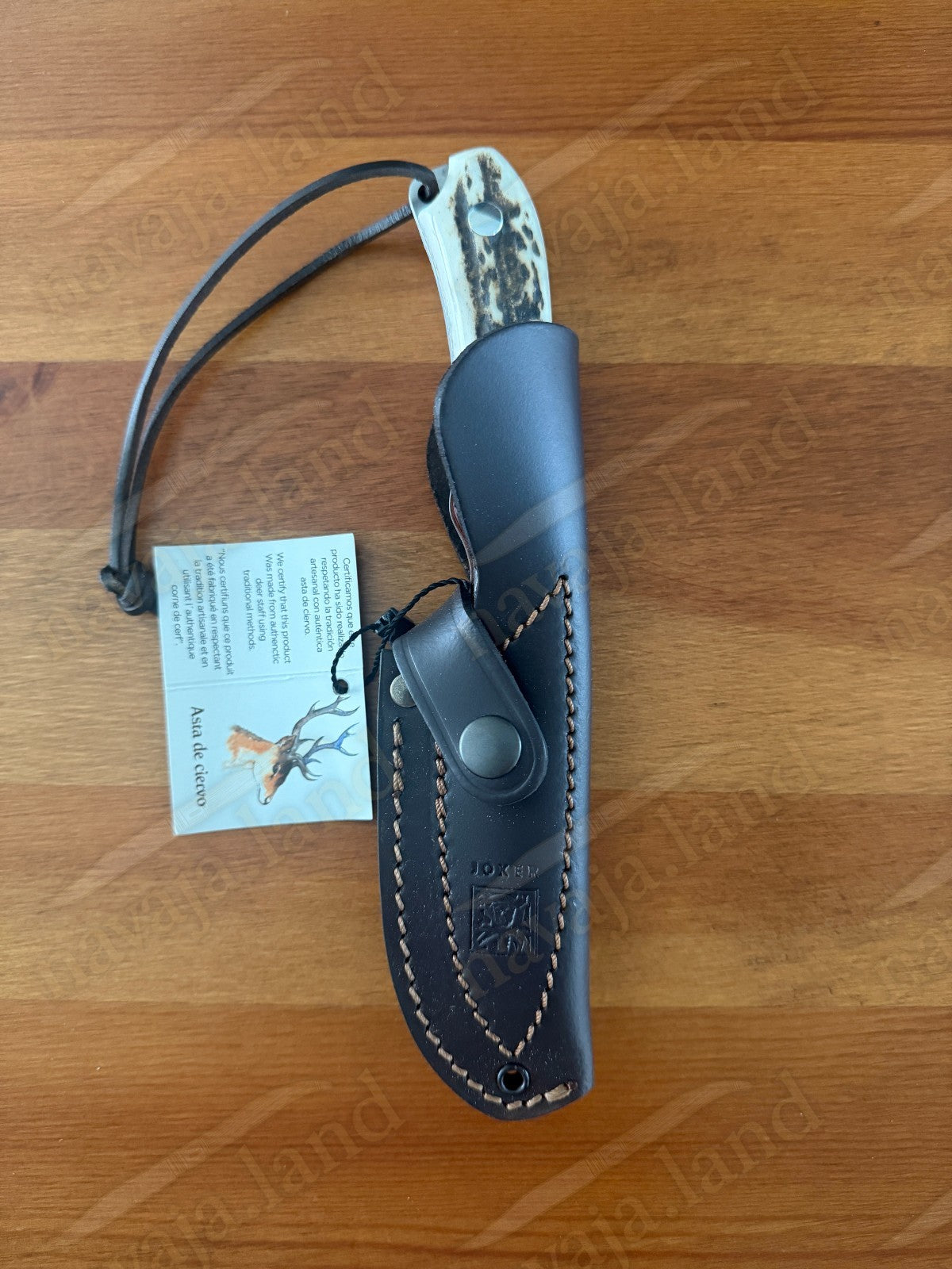 Joker Aguila Bushcraft Knife 3.34” MOVA Blade Deer Horn & Rosewood Handle