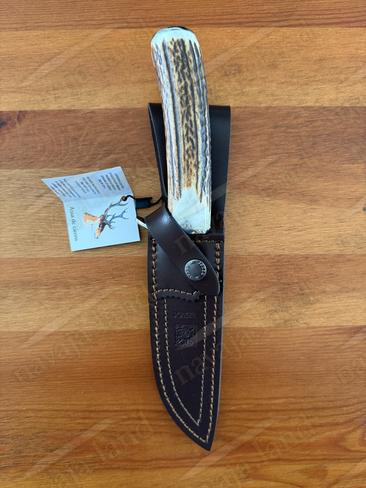 Joker Tigre Hunting Knife 5.5” MOVA Blade Deer Antler Handle Leather Sheath