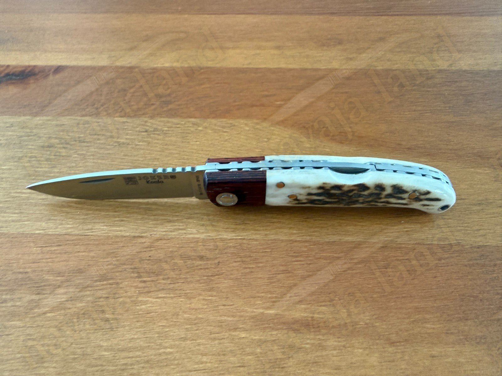 Joker Koala Pocket Knife 2.75” MOVA Blade Deer Horn Handle Grenadillo Ferrule