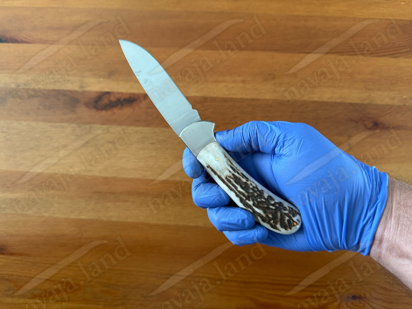 Joker Cocker Hunting Folding Knife 3.5” MOVA Blade Deer Antler Handle From Spain