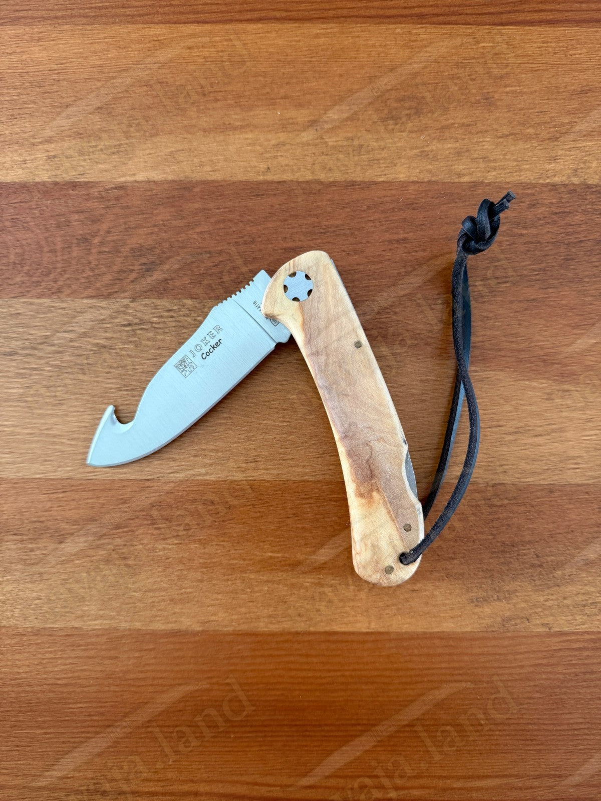 Joker Cocker Hunting Skinning Folding Knife 3.54” MOVA Blade Olive Wood Handle