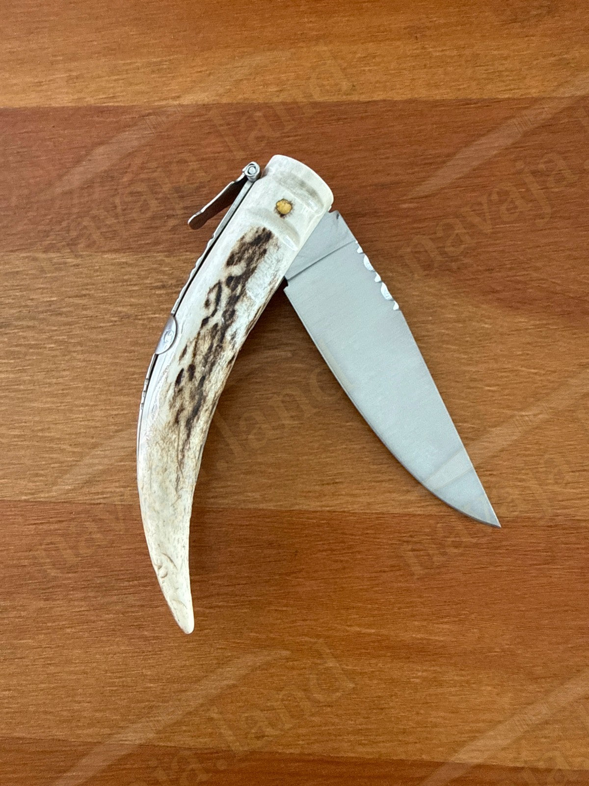 Joker Punta Ciervo Folding Knife Deer Antler Handle 3.3" MOVA Steel From Spain