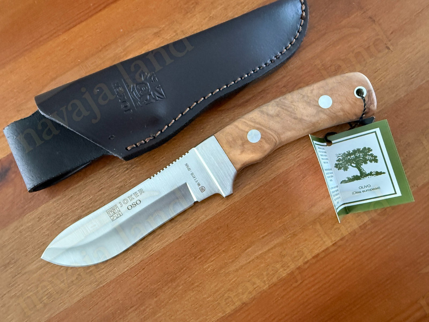 Joker Oso Outdoor Knife – 4.72" MOVA Blade | Olive Wood Handle | Leather Sheath