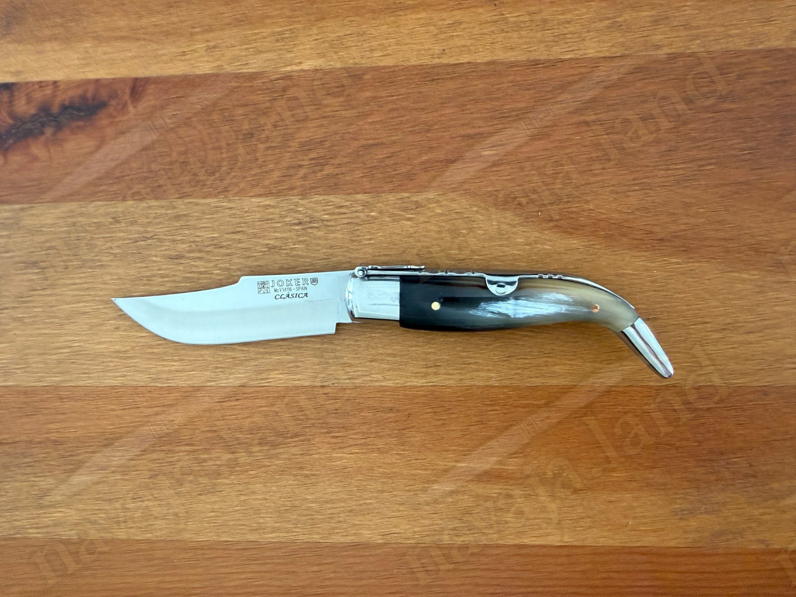 3.2” Joker Clásica Folding Knife Bull Horn Handle MOVA 1.4116 Stainless Steel