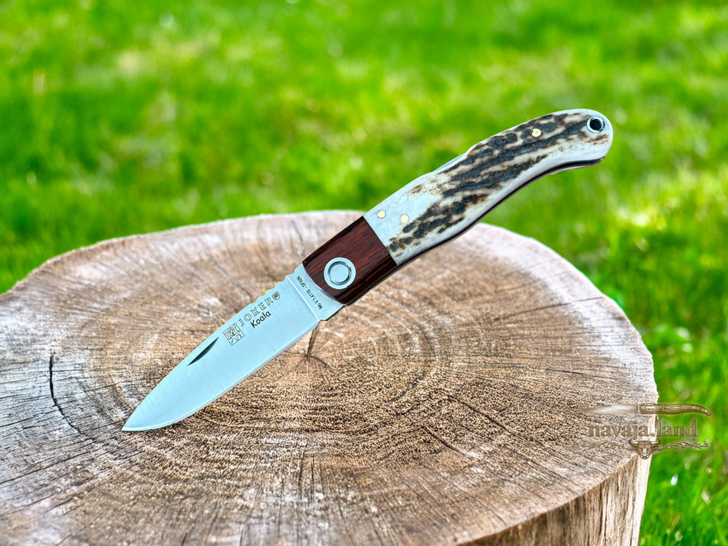 Joker Koala Pocket Knife 2.75” MOVA Blade Deer Horn Handle Grenadillo Ferrule
