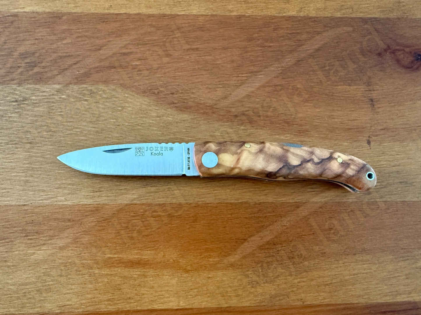 Joker Koala Pocket Knife 2.75” MOVA Blade Olive Wood Handle Handmade in Spain