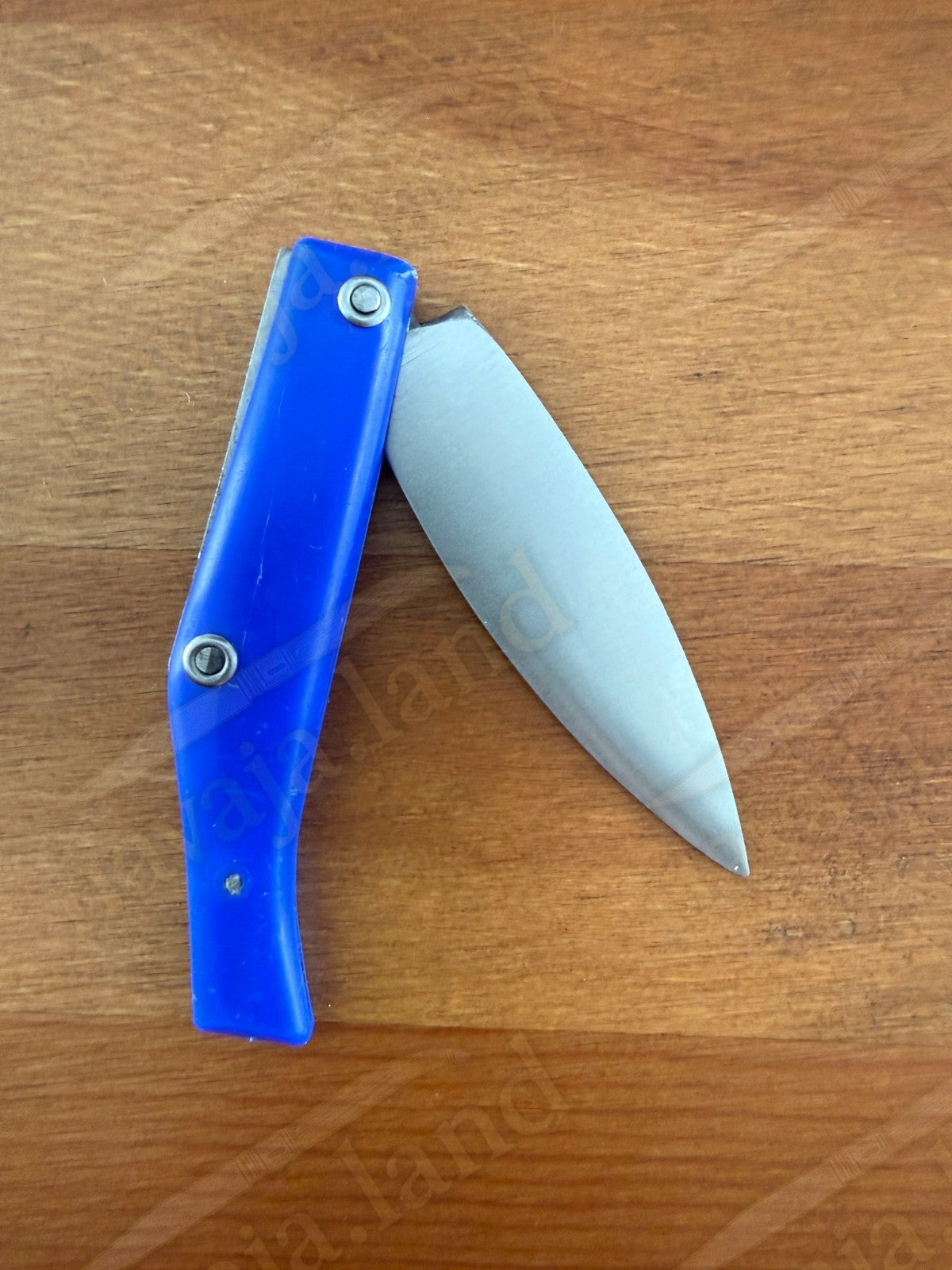 Pallares Solsona Pocket Knife 2.76” Stainless Steel Blade Blue Handle Spanish