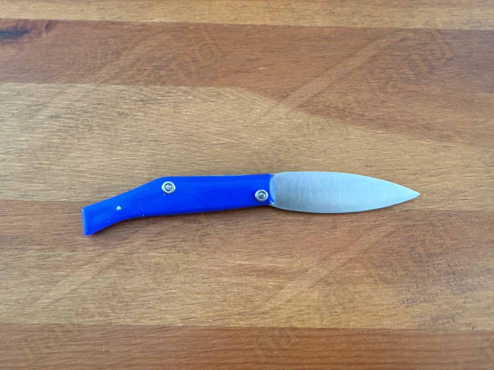 Pallares Solsona Pocket Knife 2.76” Stainless Steel Blade Blue Handle Spanish