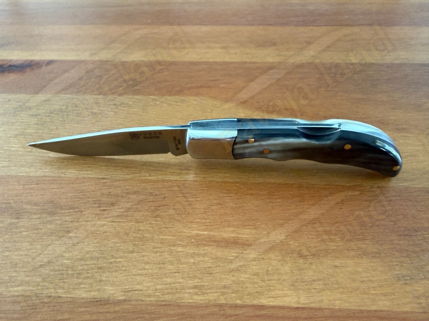 3” Joker Pointer Camping Folding Knife (Bull Horn Handle) Handmade in Spain