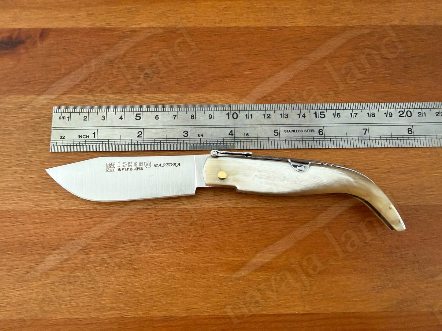 3.15” Joker Pastora Folding Knife Bull Horn Handle MOVA 1.4116 Stainless Steel