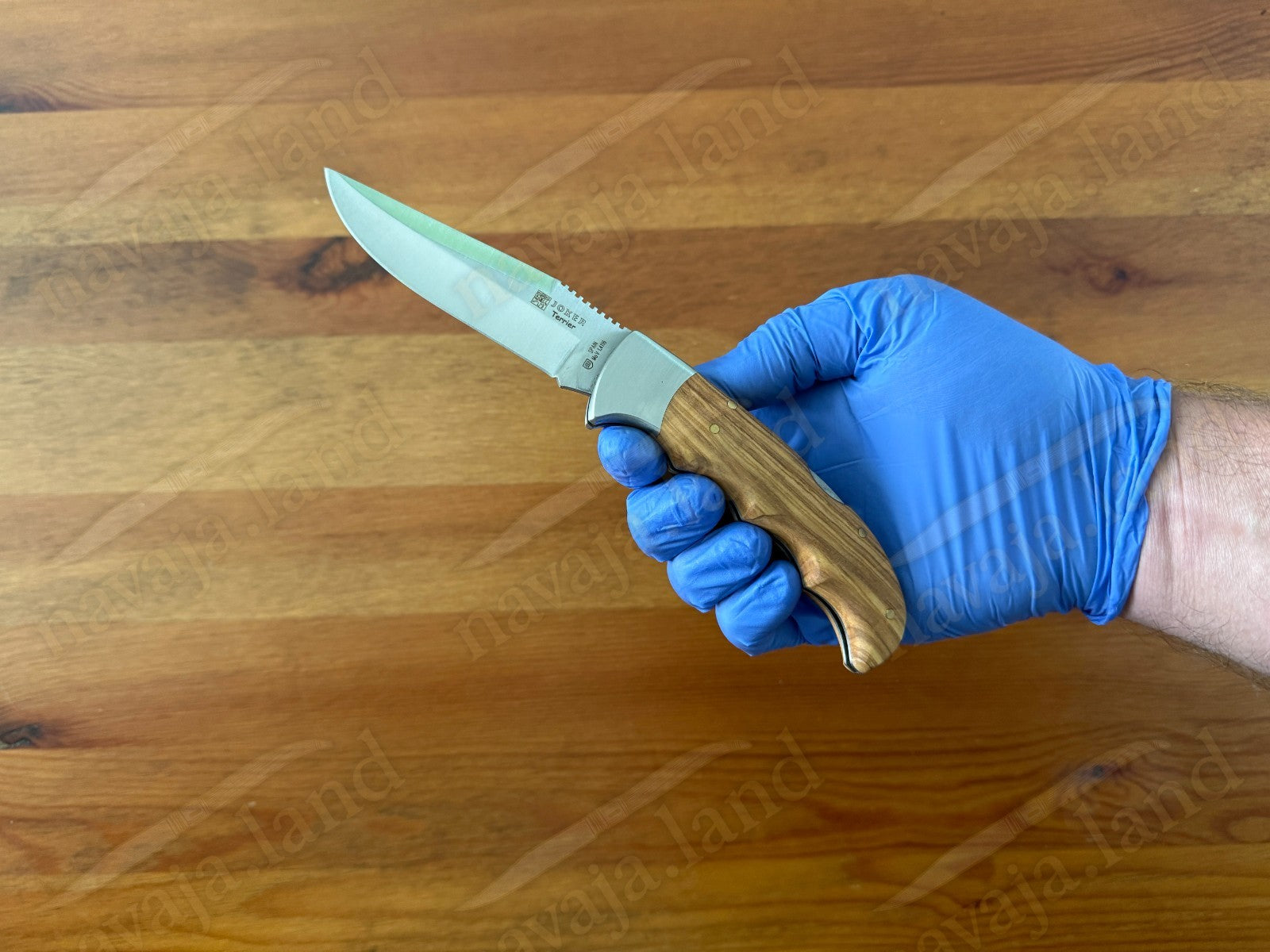 Joker Terrier Hunting Folding Knife 3.5” MOVA Blade Olive Wood Handle From Spain