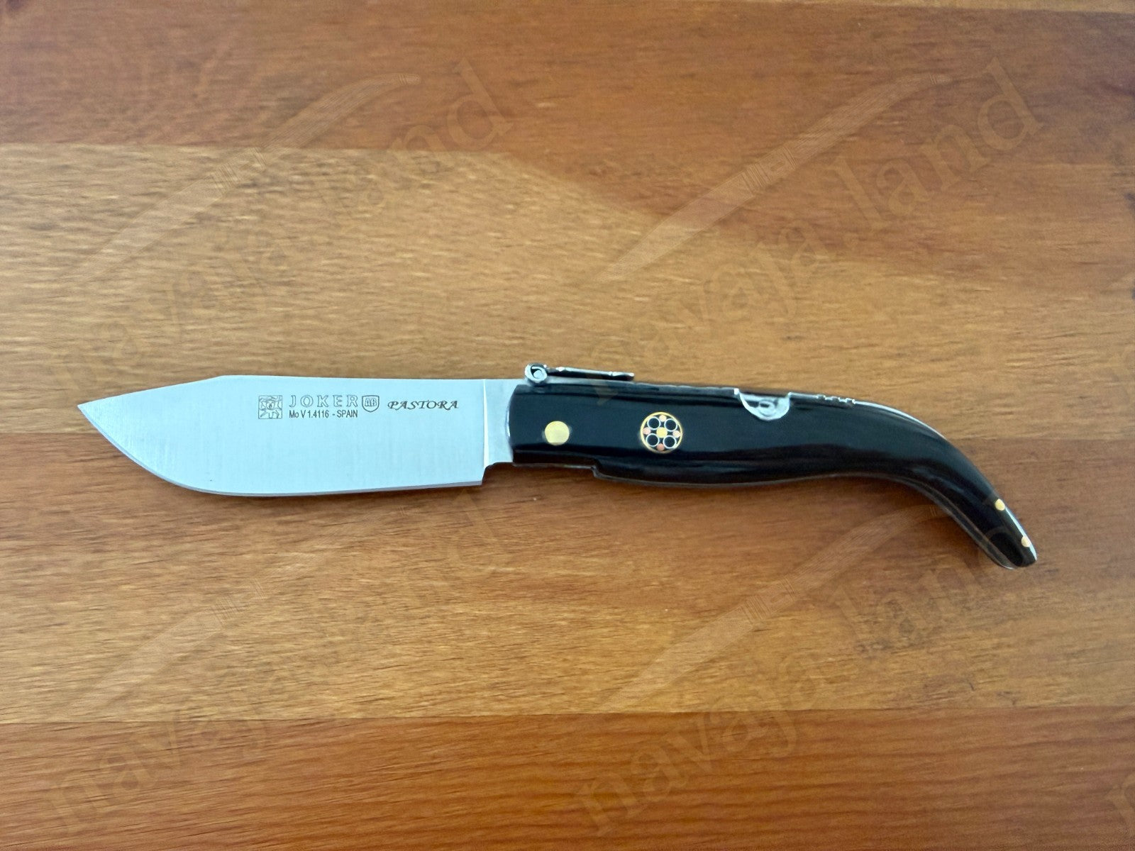 3.2” Joker Pastora Folding Knife Buffalo Horn Handle MOVA 1.4116 Stainless Steel