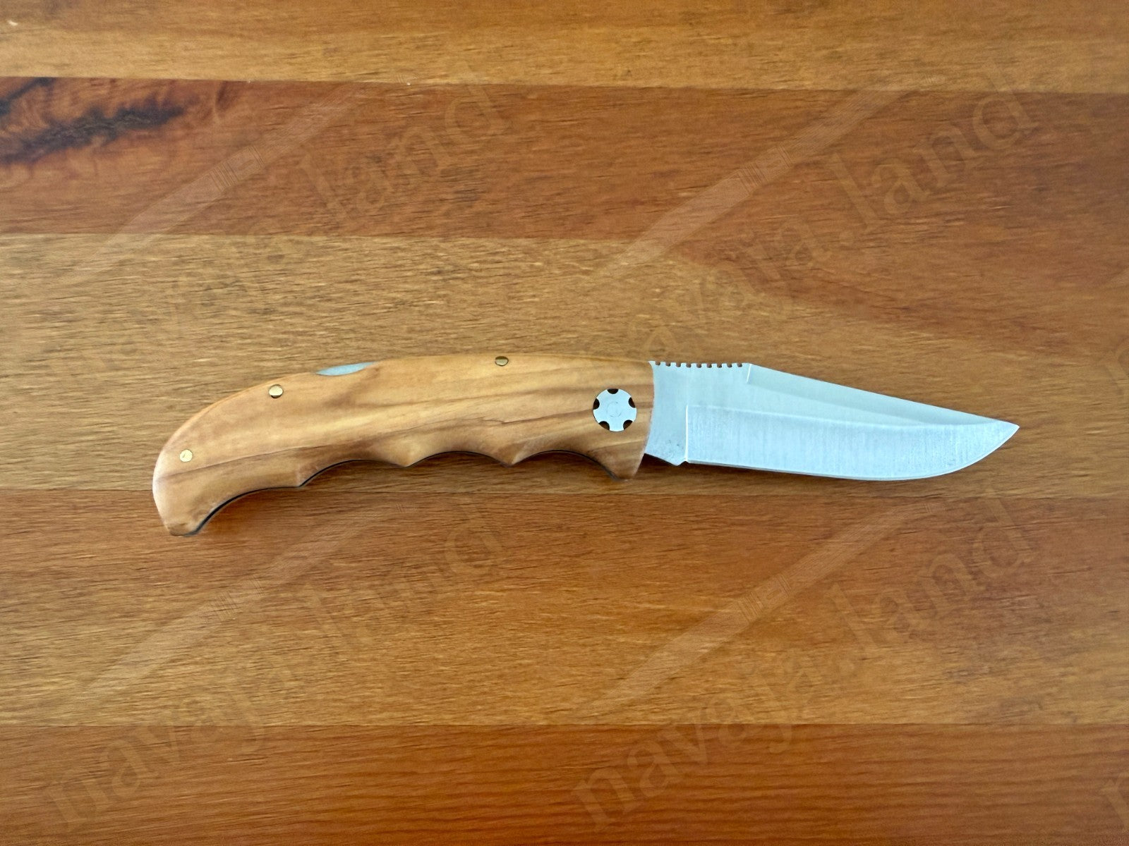 Joker Terrier Hunting Folding Knife 3.5” MOVA Blade Olive Wood Handle From Spain