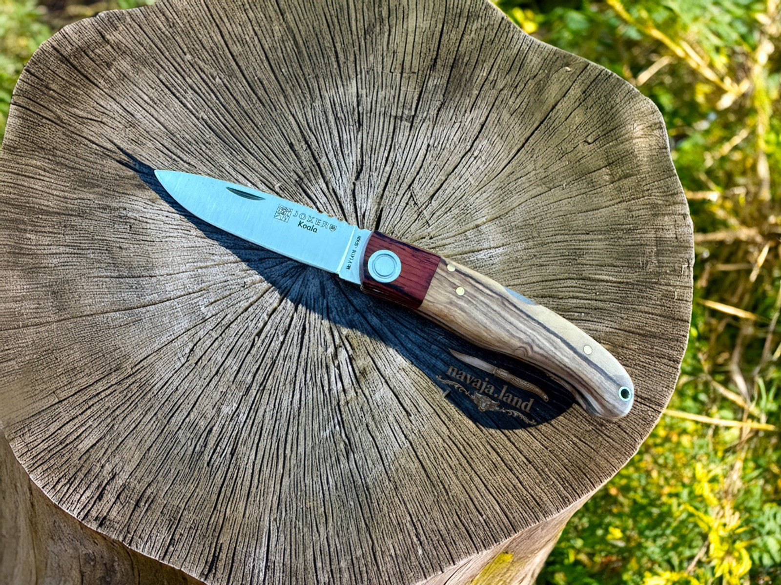 Joker Koala Pocket Knife 2.75” MOVA Blade Olive Wood & Rosewood Handle