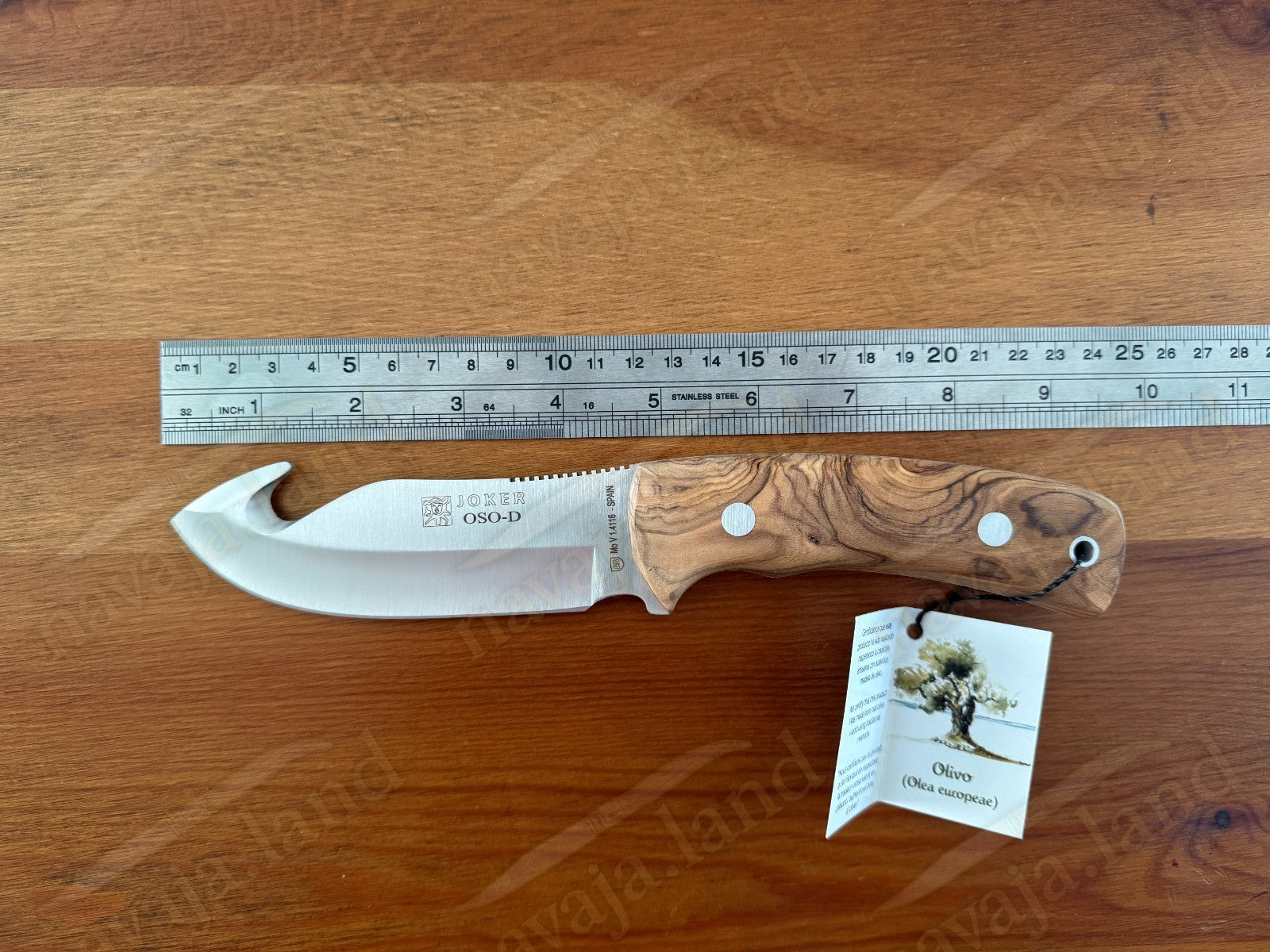 Joker OSO-D Skinning Knife 4.72” MOVA Blade | Olive Wood Handle | Made in Spain